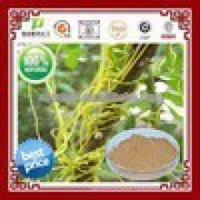 Natural Hot sale Chinese Dodder Seed Extract,High quality Chinese Dodder Seed Extract powder